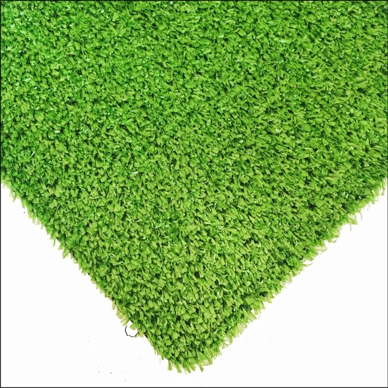 Erba del tappeto CG10