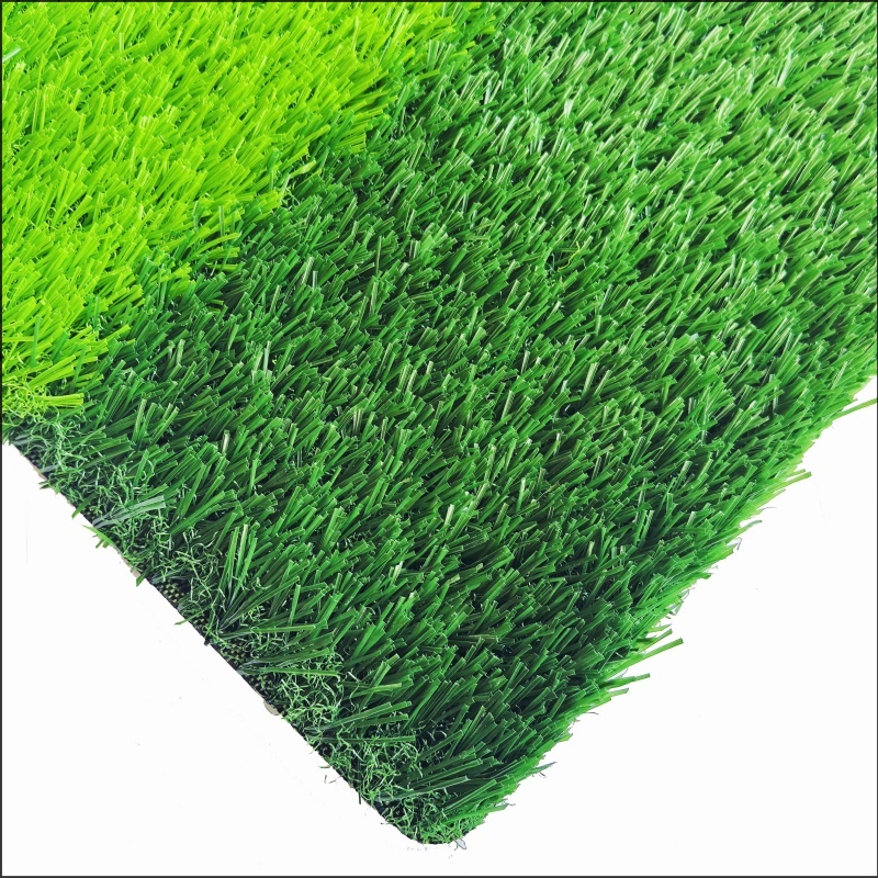 See More About Erba calcistica senza riempire (IFG30)