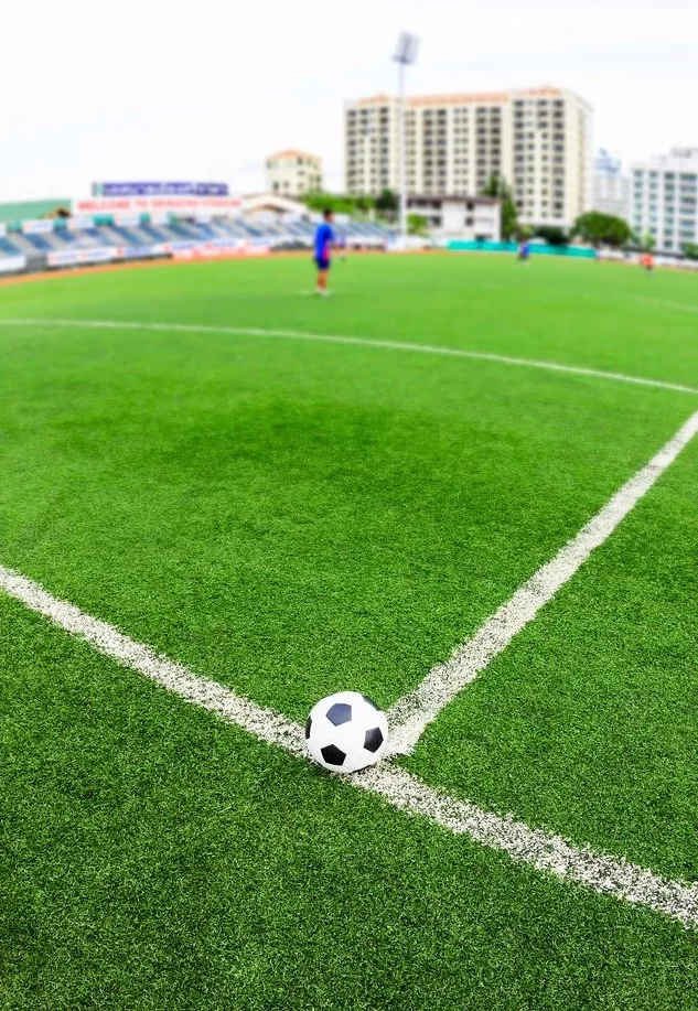 Erba da calcio